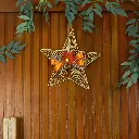 Handcrafted Autumn Hanging Star Decor