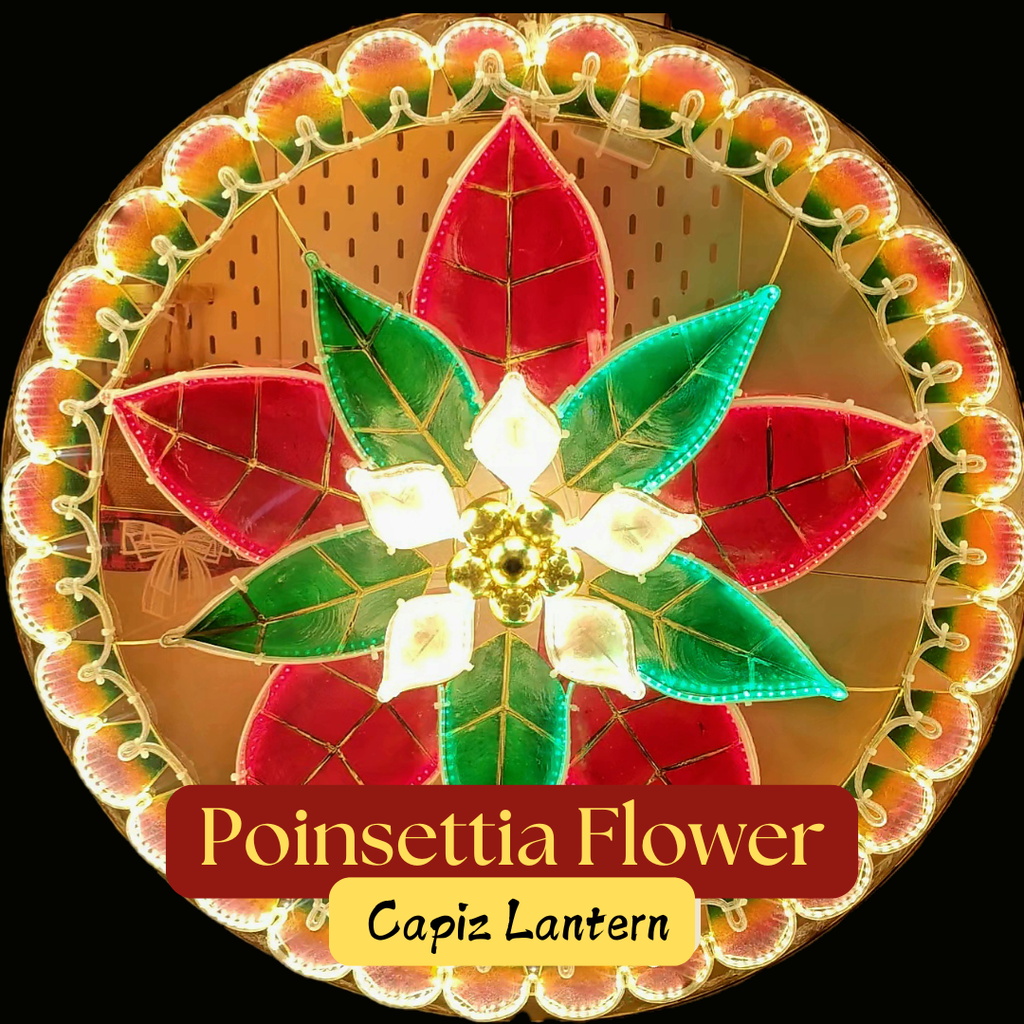 Parol Poinsettia Colored Capiz Lantern - 25 inches, US 110v
