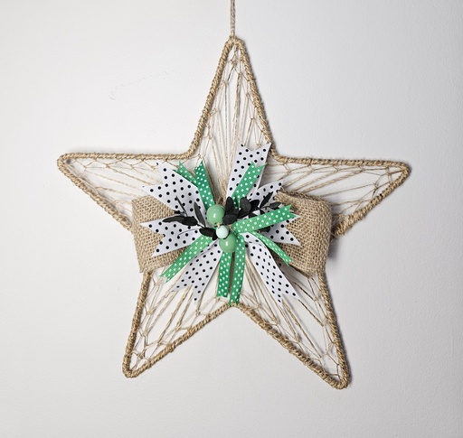 [US-0496] St. Patrick's Hanging Star Decor